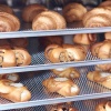 Печь конвекционная Abat КЭП-10